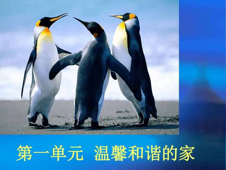 第一课  感悟亲情  课件（45张PPT）