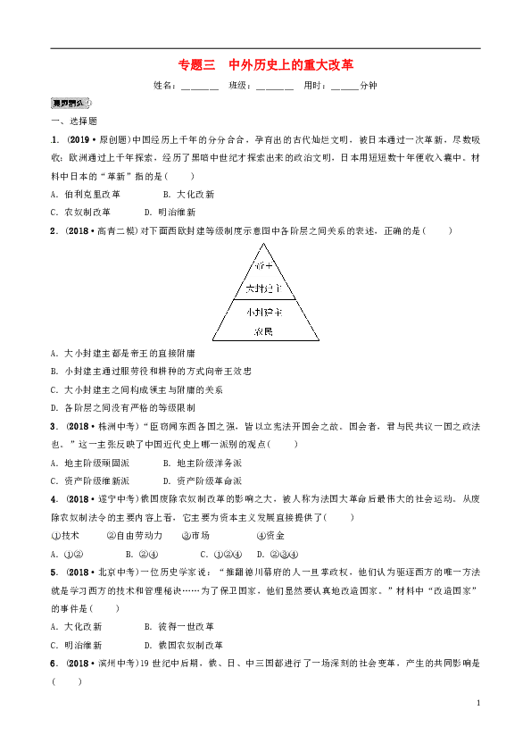 （淄博专版）2019届中考历史复习专题三中外历史上的重大改革练习
