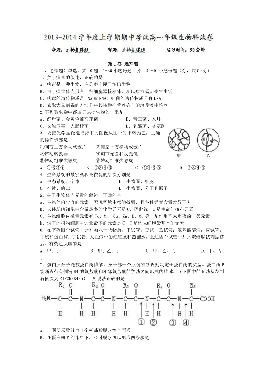 辽宁省东北育才双语学校2013-2014学年高一上学期期中考试生物试题