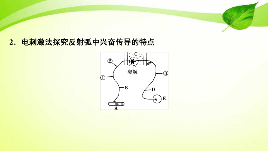 2022年一輪複習加強提升課七反射弧中興奮傳導特點的實驗探究共34張