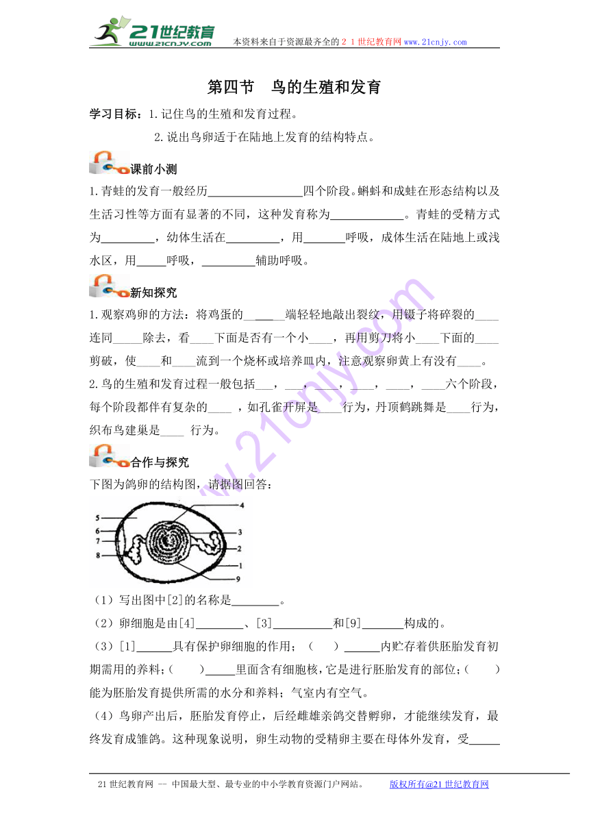 八年级生物下册：7.1.4《鸟的生殖和发育》导学案（无答案）