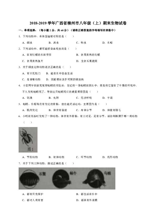 广西省柳州市2018-2019学年八年级上学期期末考试生物试卷（WORD版）