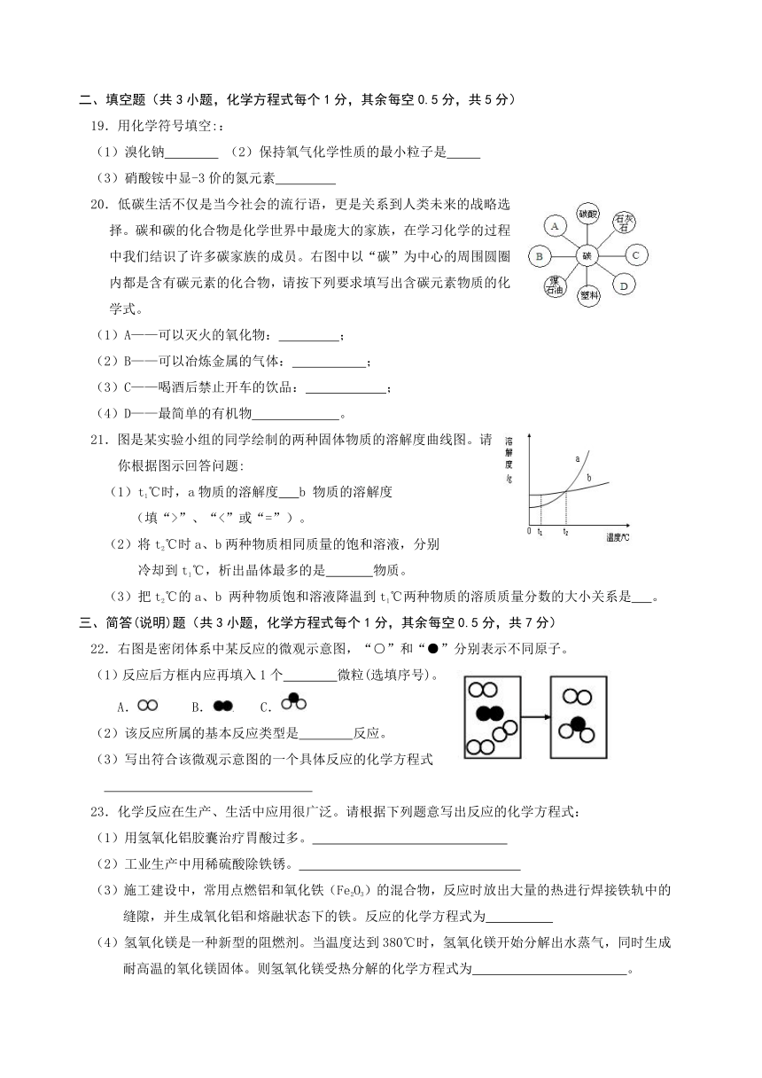 湖北省枝江市2017届九年级3月调研考试化学试题