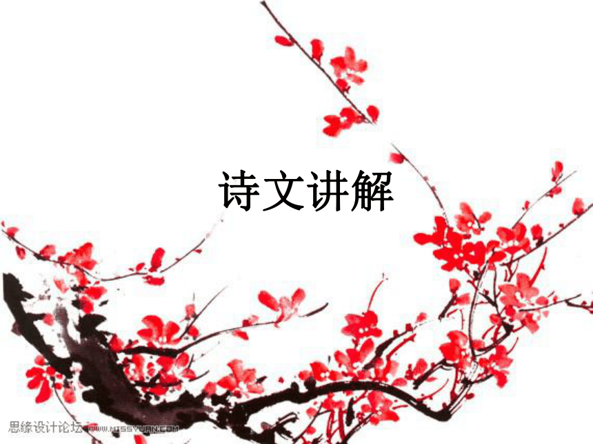 课件预览