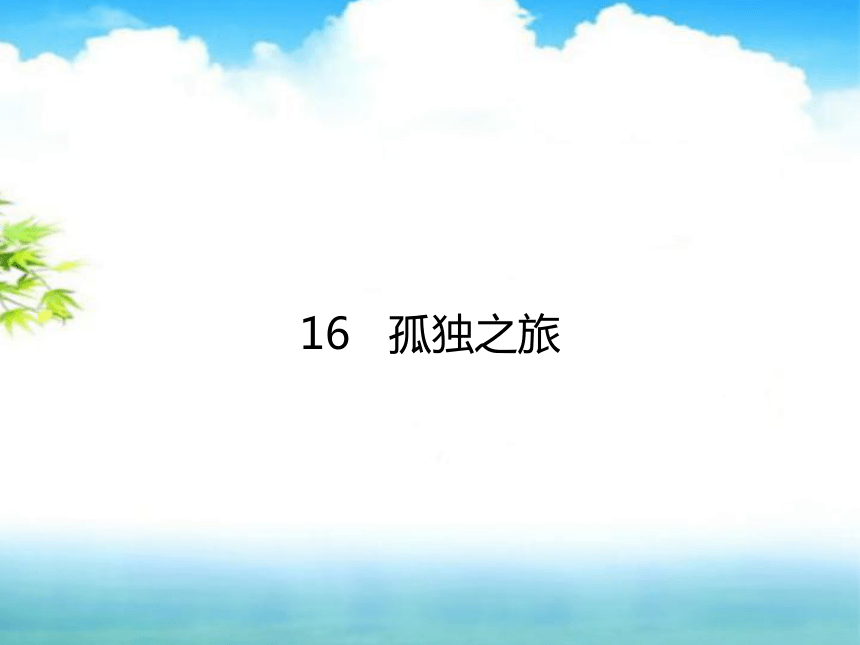 第16*课 孤独之旅 课件（幻灯片20张）