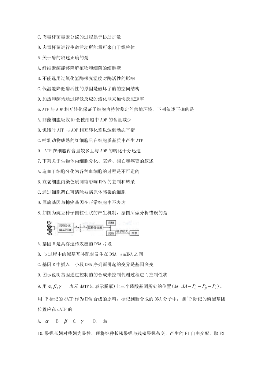 山西省孝义市2019届高三上学期入学摸底考试生物试题