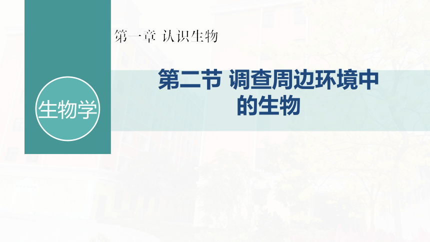 1.1.2调查周边环境中的生物 课件(共23张PPT) 2021-2022学年人教版生物七年级上册