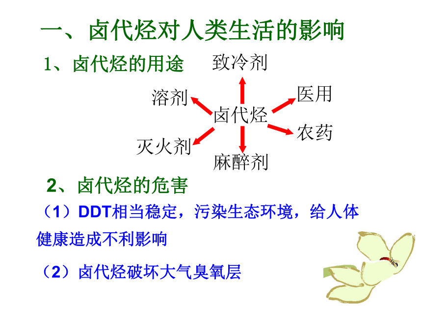 《卤代烃》教学课件