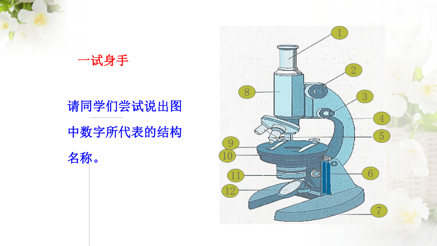 初中生物苏科版7年级上册 第一章第二节 生物的基本研究方法学习使用显微镜 课件(24张)
