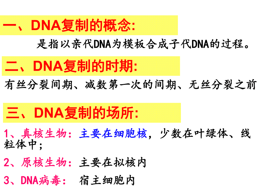 高中生物人教版必修二课件-3.3 DNA分子的复制 （共16张PPT）