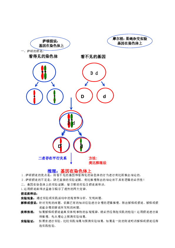 新人教版必修二生物第2章第2节-基因在染色体上-教学设计