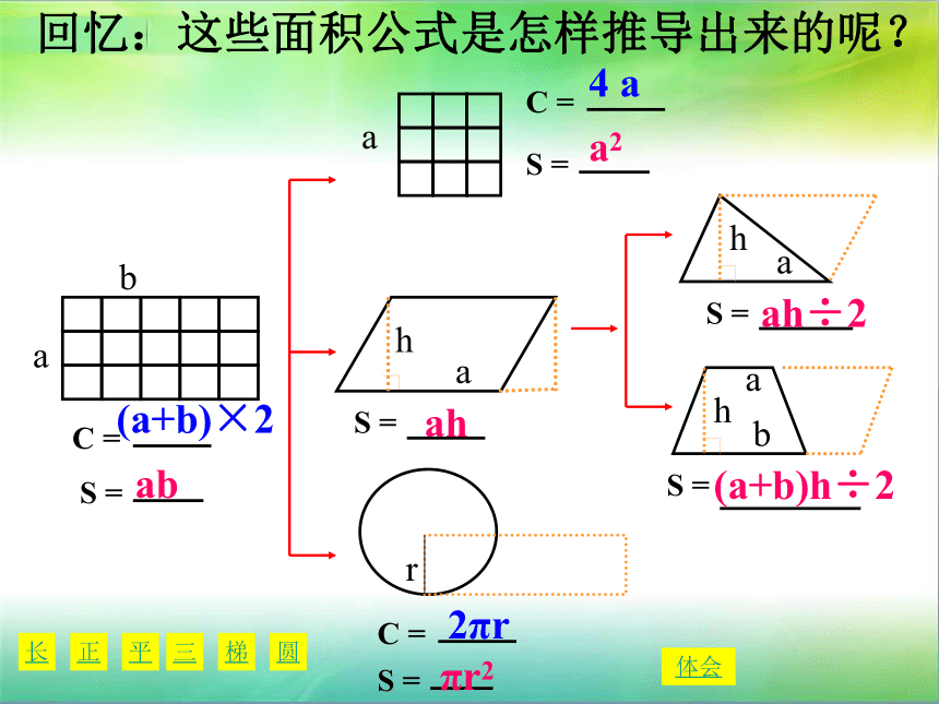 数学六年级下苏教版7.2平面图形的周长和面积课件（24张）