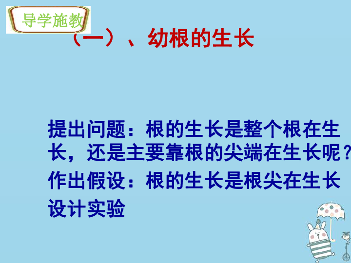 植株的生长课件 共27张 PPT