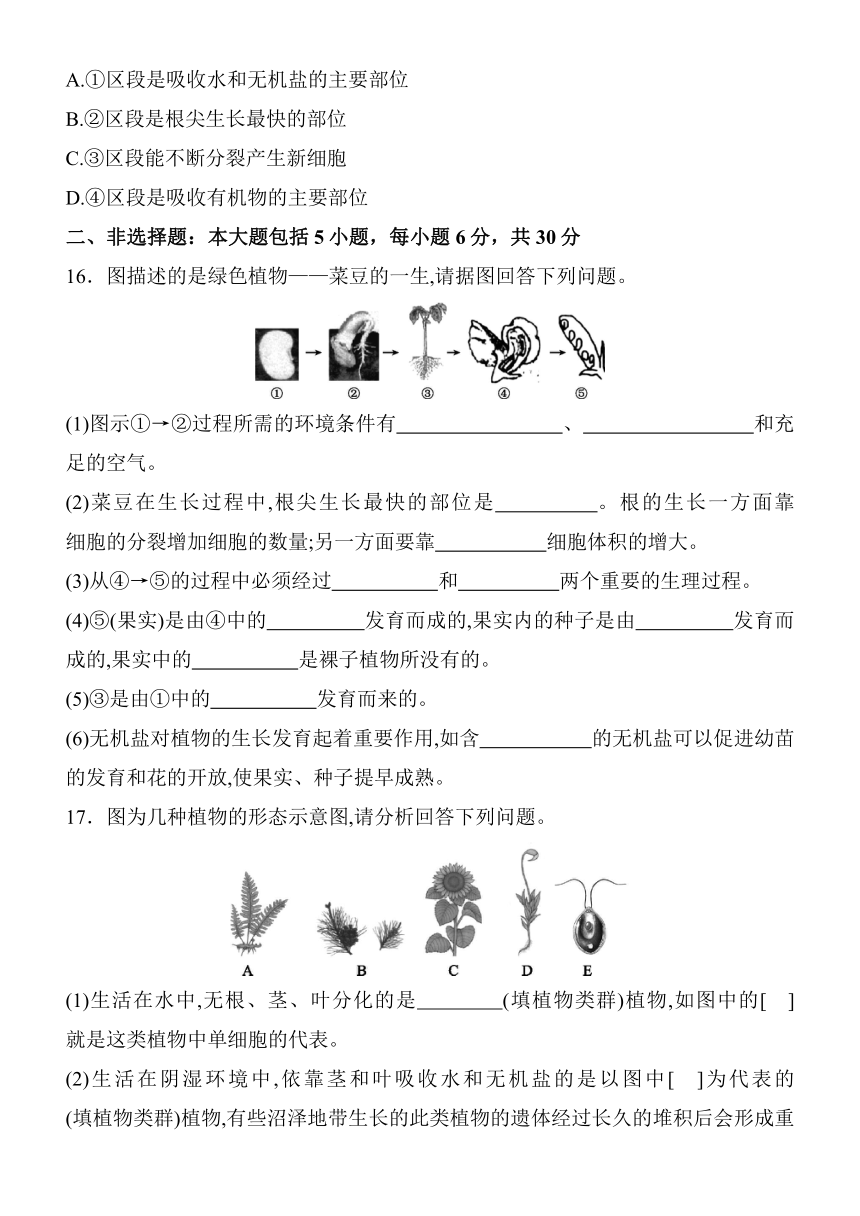 2021-2022学年人教版七年级生物上册第三单元生物圈中的绿色植物（第一、二章）综合测评卷  （Word版 含答案解析）