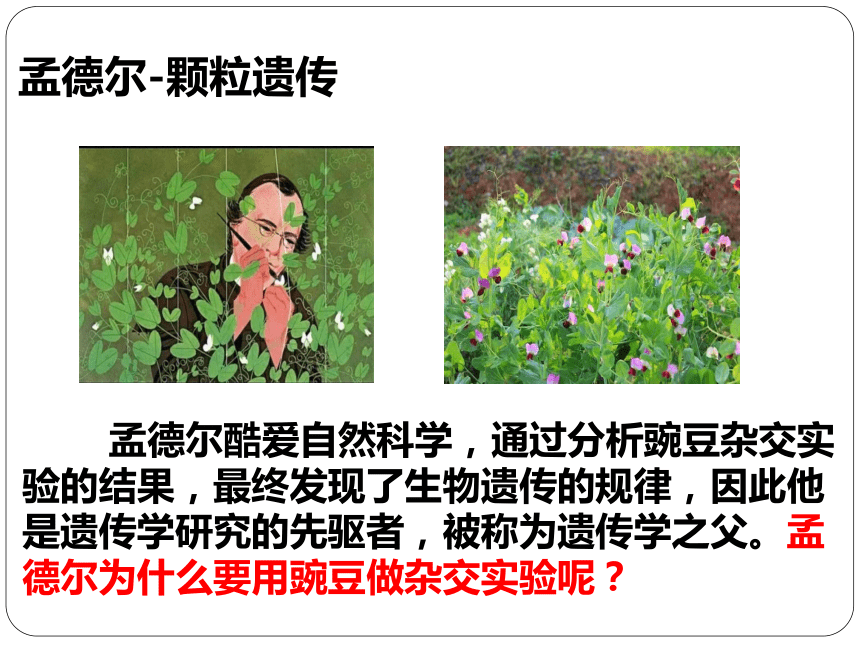 608f4728c825d0b1b9e4d63a5c92f107.png