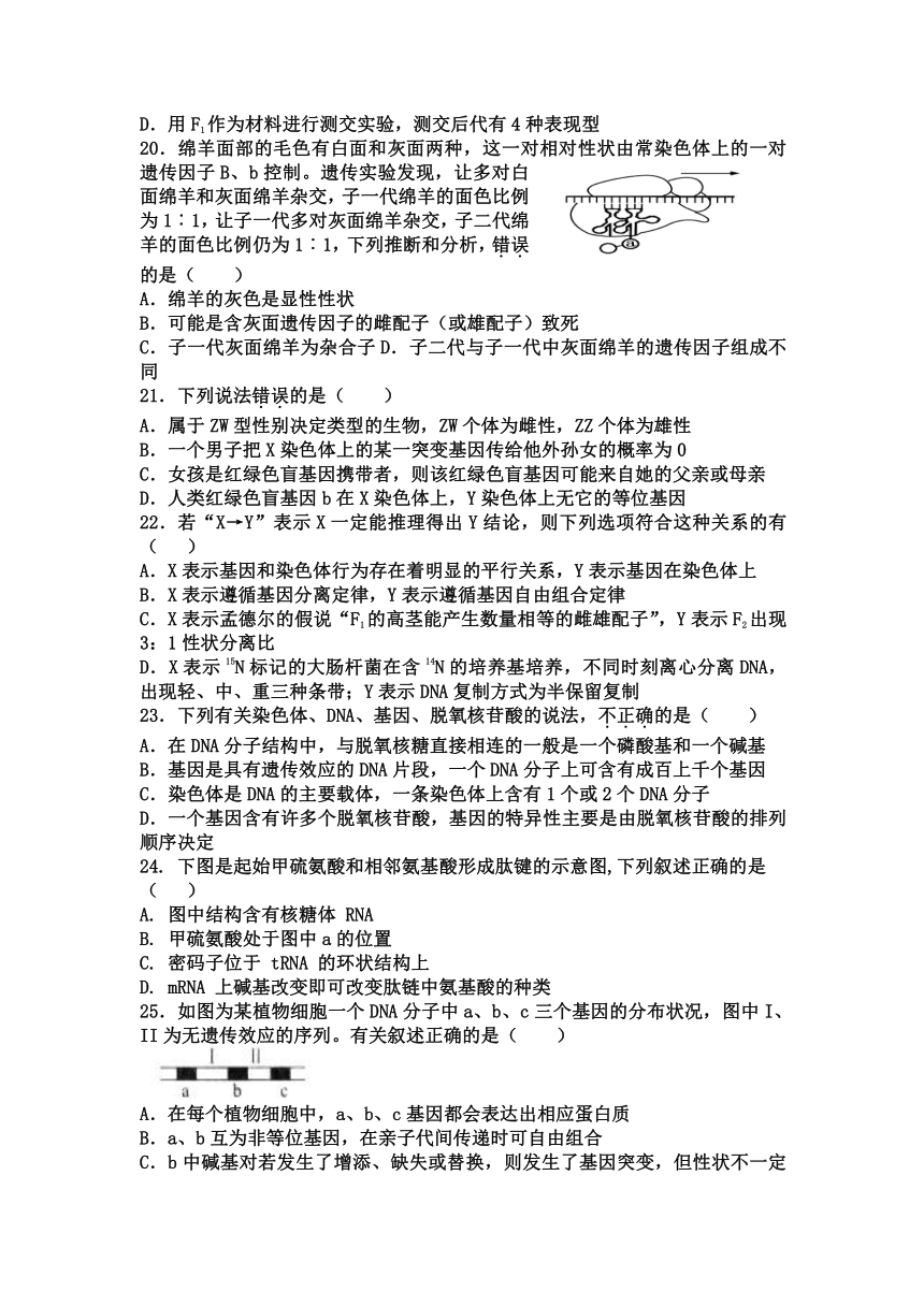 辽宁省六校协作体2016-2017学年高二6月联考生物试卷