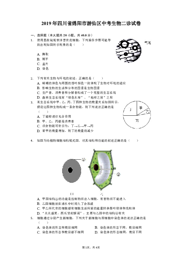 2019年四川省绵阳市游仙区中考生物二诊试卷（含解析）