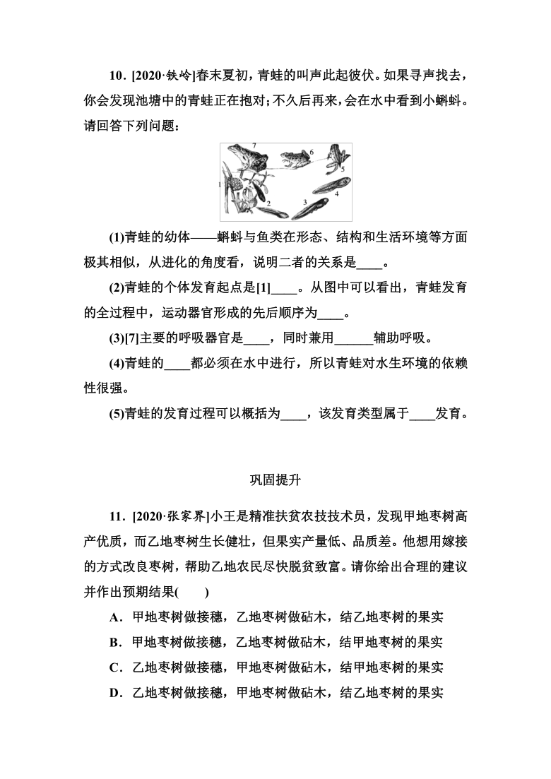 2021年湖南省中考生物分层练习：植物与动物的生殖和发育(word版含答案）