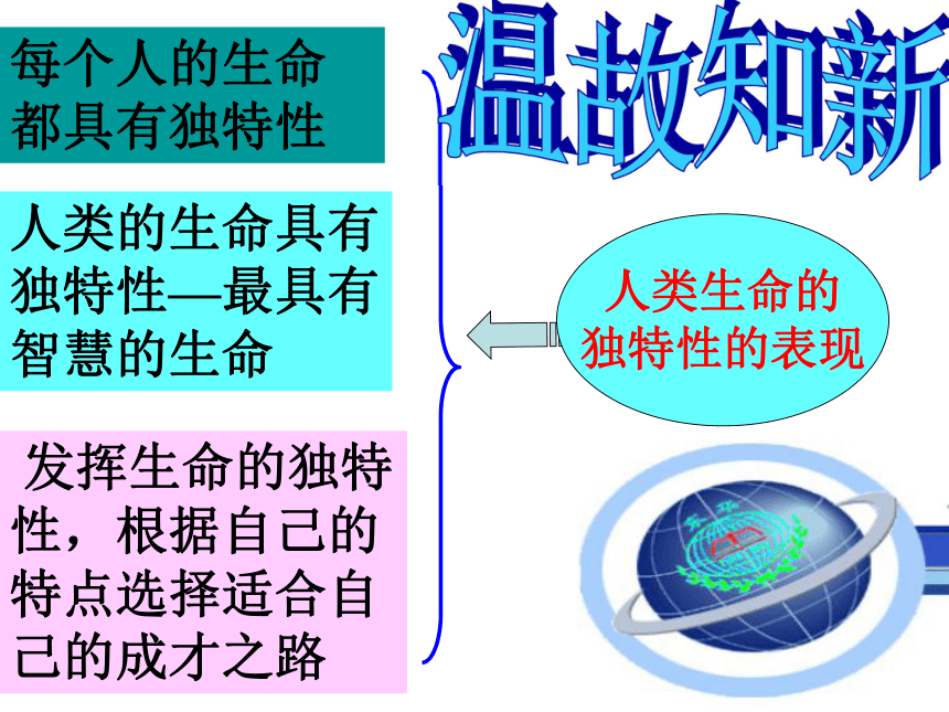 让生命之花绽放课件