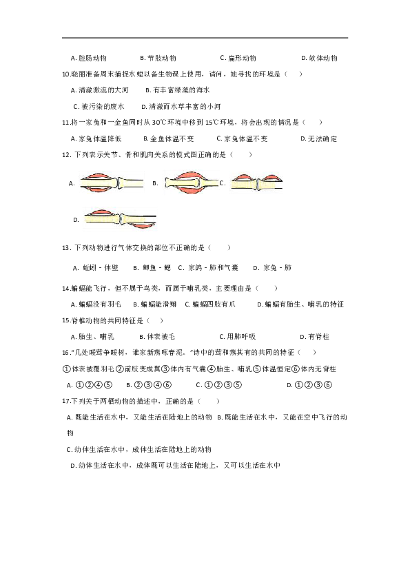 重庆江南新区联盟2018-2019学年八年级上学期期中联考生物试卷