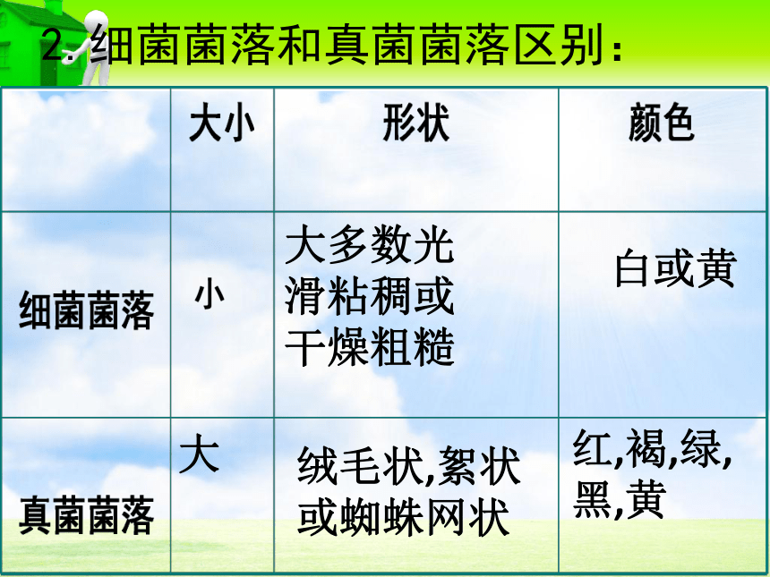 5.4.1细菌和真菌的分布