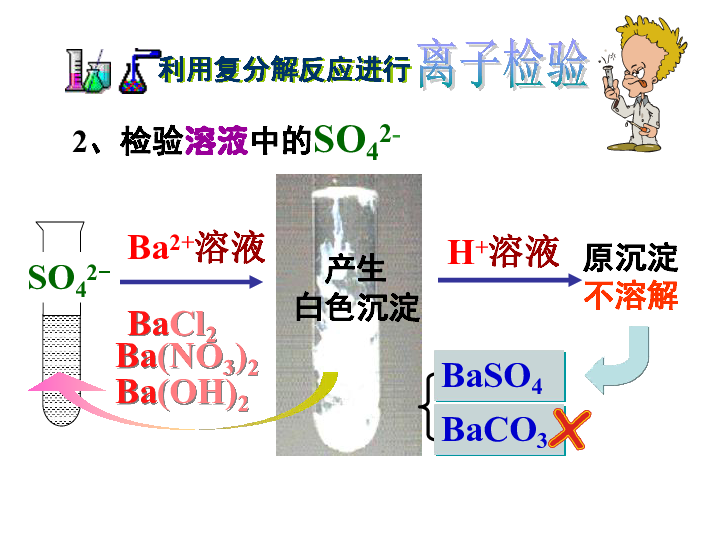 酸碱盐的复习--离子检验（PDF版）