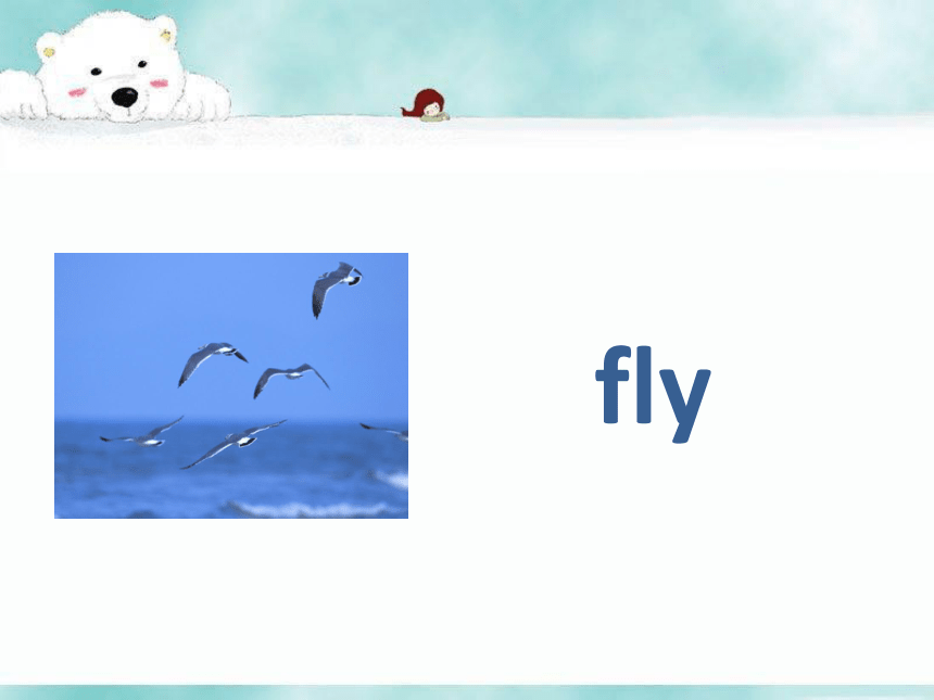 Lesson 3 Fish and birds 课件