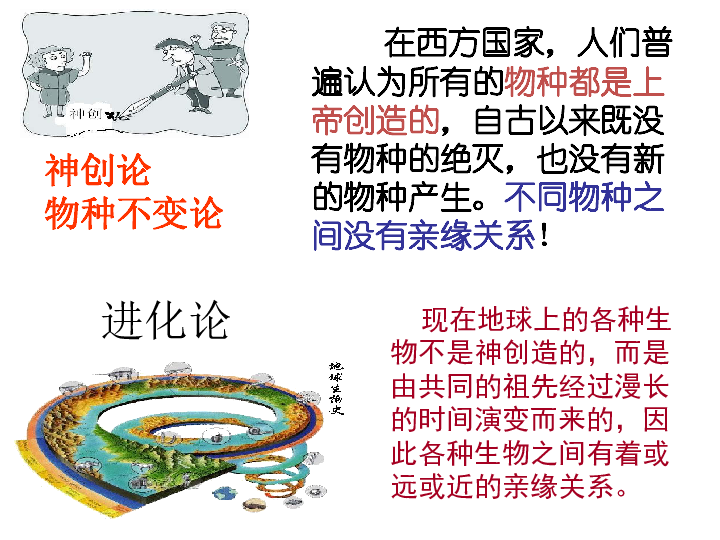 高中生物人教版必修2第七章第1节现代生物进化理论的由来课件（21张ppt）