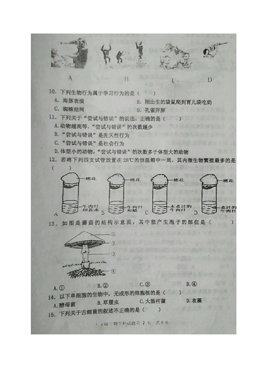 黑龙江省安达市2017-2018学年八年级上学期期末教学质量检测生物试题（图片版，含答案）