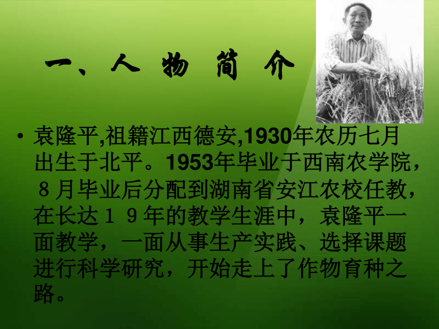 八年级语文上册《杂交水稻之父－袁隆平》课件 语文版