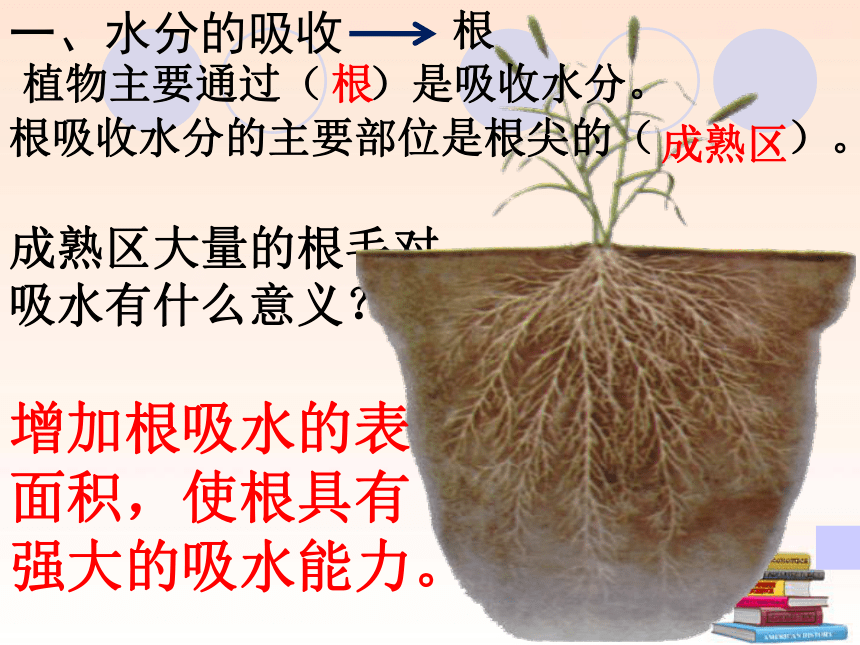 第三章 绿色植物与生物圈的水循环（72PPT）