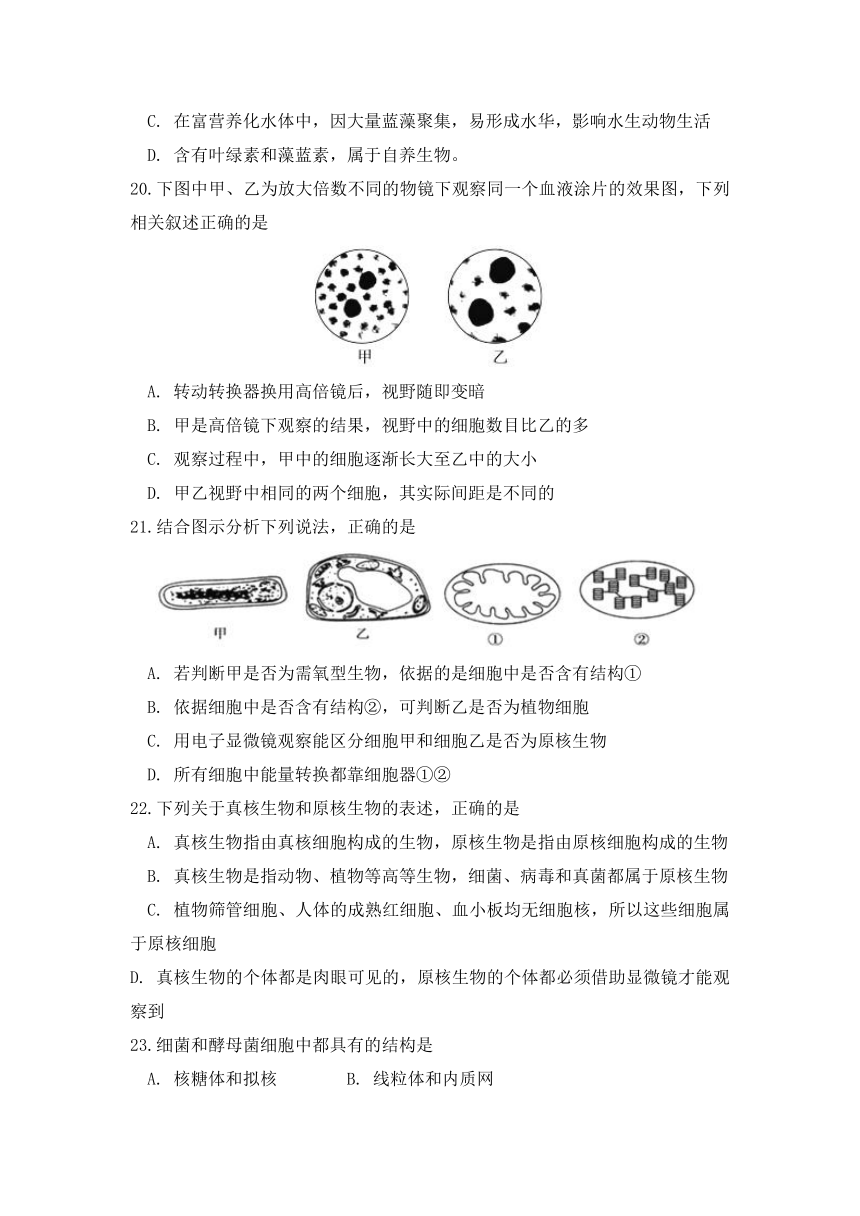 安徽省滁州市定远县育才学校2018-2019学年高一上学期第一次月考生物试题