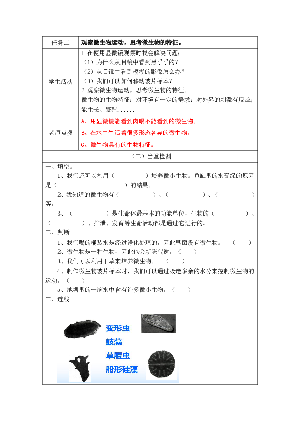 六年级下册科学学案-第七课用显微镜观察身边的生命世界（三）  教科版