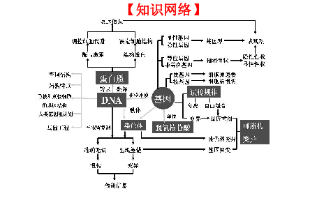 2019届二轮复习  遗传、变异、进化 课件（48张）