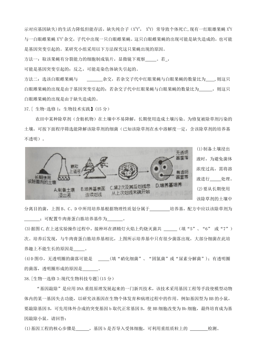 山西省榆社中学2017届高三5月适应性考试理综试题 Word版含答案