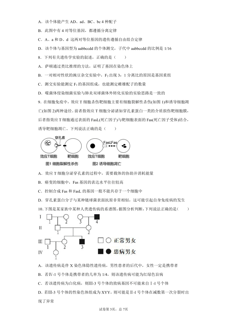 广东省汕头市2020-2021学年高二上学期期末生物试题（含答案解析）