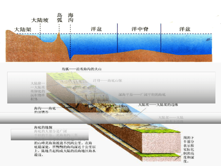 高二地理人教版选修二《海洋地理》2-2《海底地形的分布》（共15张PPT）