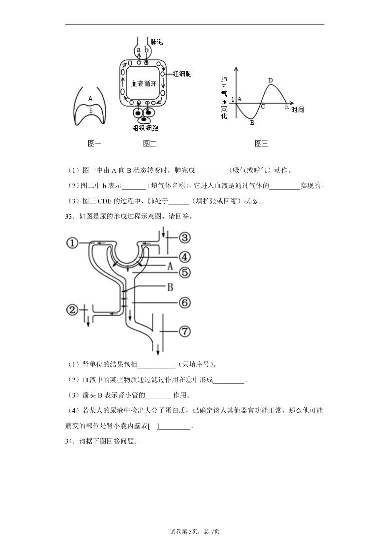 四川省广安市岳池县2020-2021学年七年级下学期期中生物试题（word版，含解析）