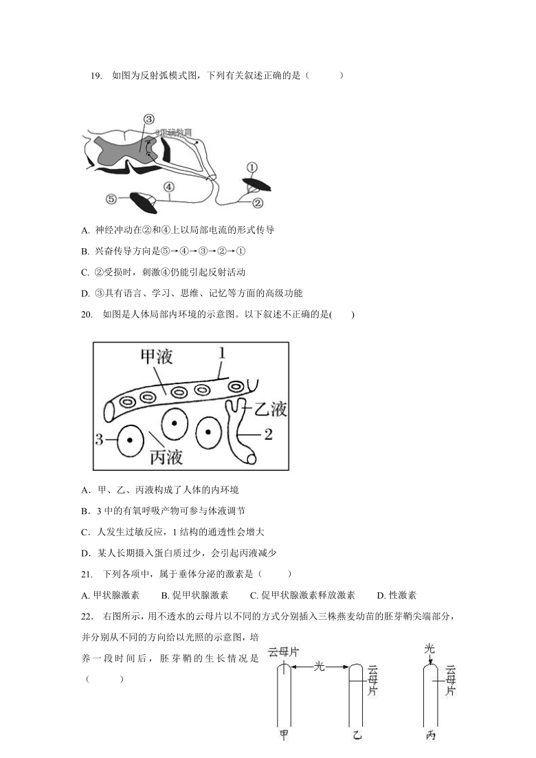 青海省西宁市海湖中学2020-2021学年高二上学期第二次阶段考试（11月）生物试题   含答案