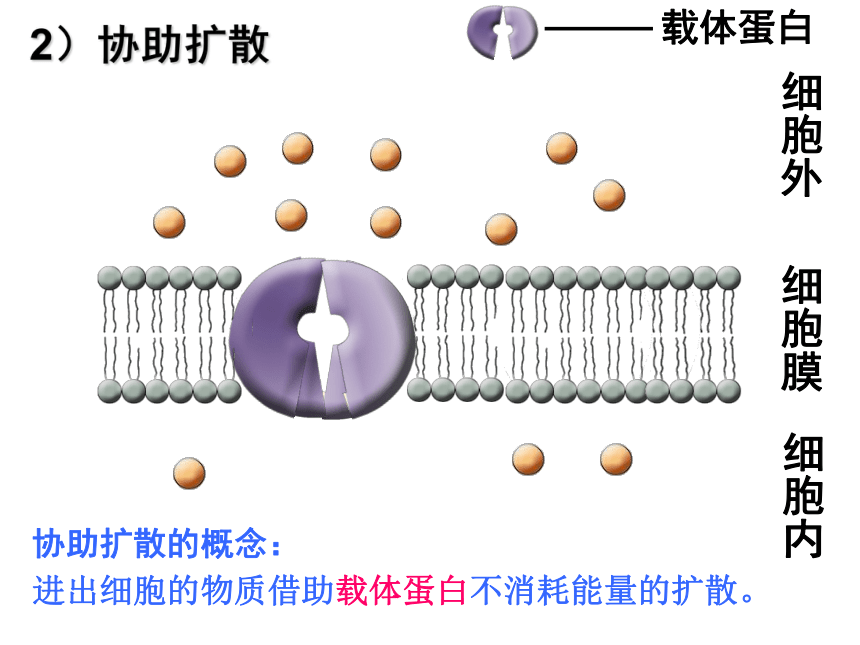 人教版 高中生物 必修1第4章第一节  物质的跨膜运输（23张）