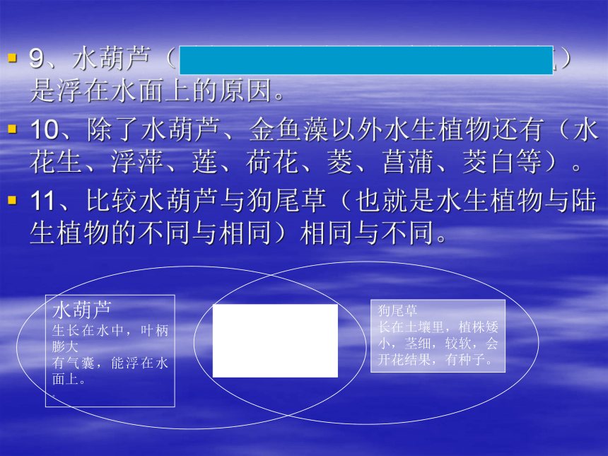 三年级上册科学总复习