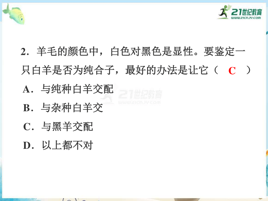 1.1.3 分离定律的解题规律及实践应用（课件共19张PPT）