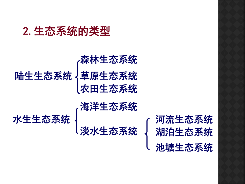 湘教版选修6第三章第一节《生态系统和生态平衡》课件