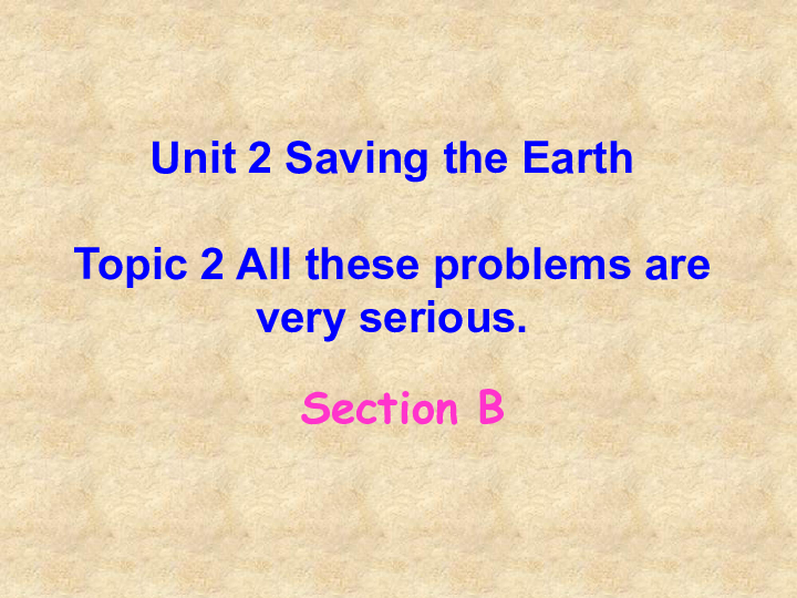 仁爱版九年级英语上册 Unit 2 Saving the earth. Topic 2  All these problems are very serious. Section B 课件(共21张P