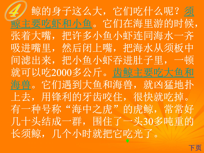 《鲸》课件