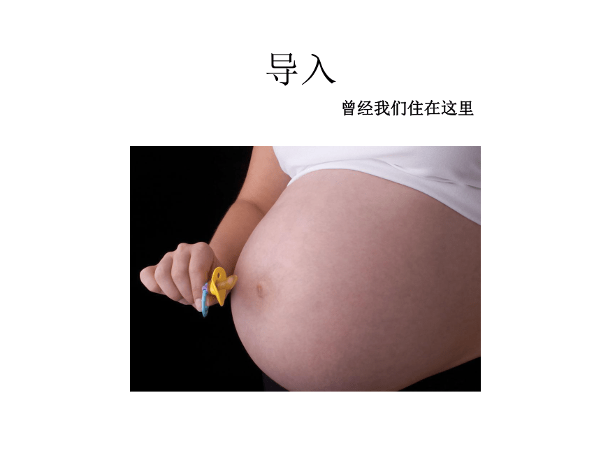 课件预览