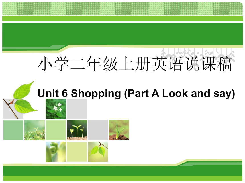 Unit 6 Shopping Part A说课课件