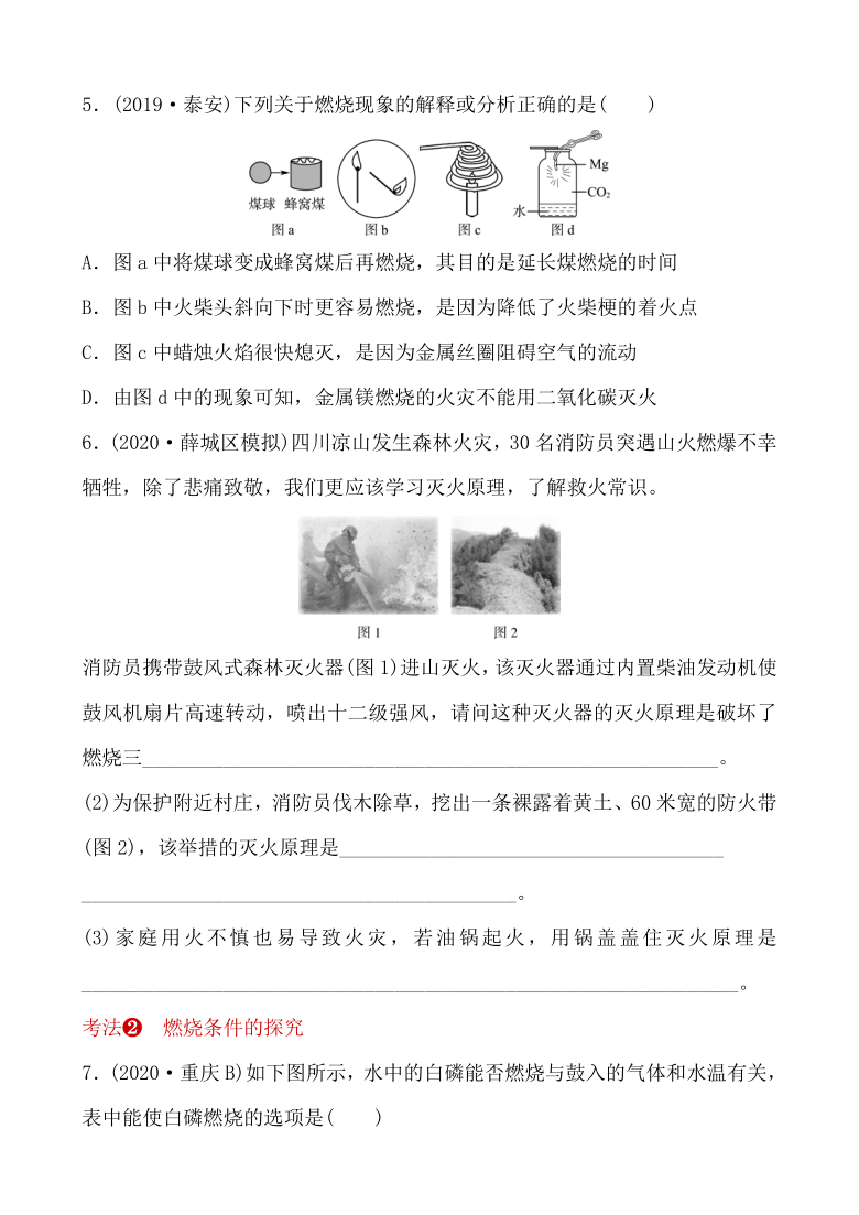 2021年春鲁教版化学中考第一轮知识点强化练习  燃烧与燃料