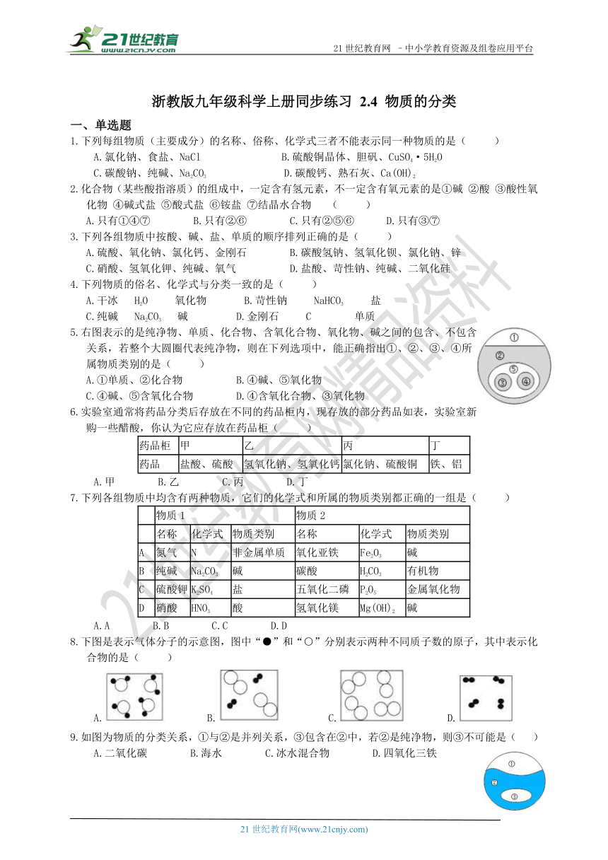 浙教版九年级科学上册 2.4 物质的分类 同步练习