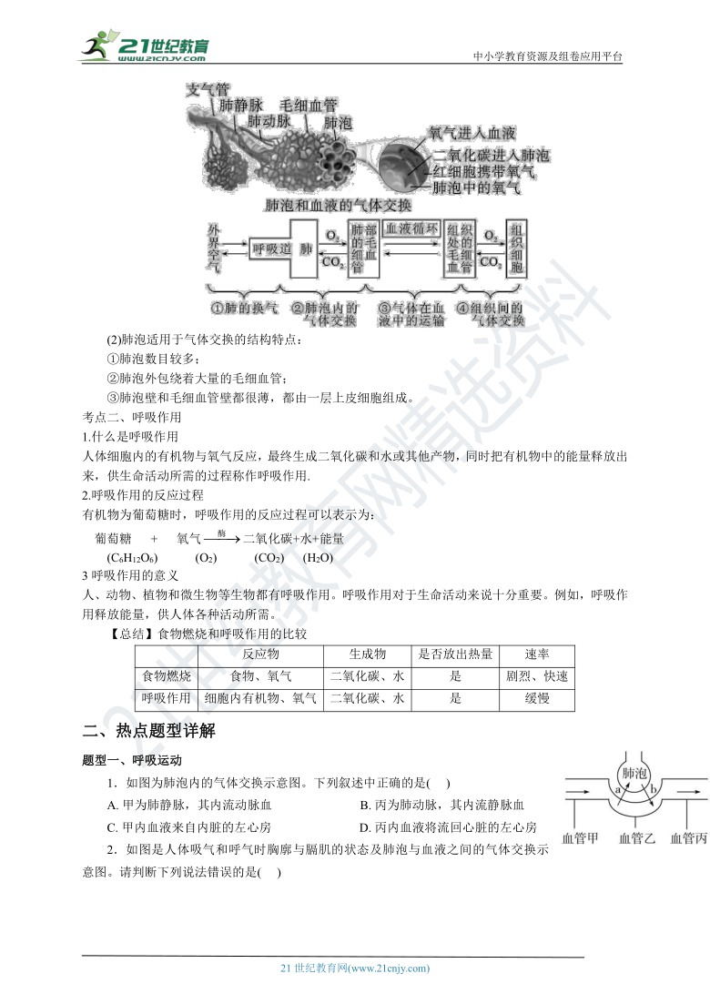 3.5生物的呼吸及呼吸作用 复习学案（含解析）